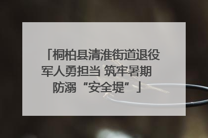 桐柏县清淮街道退役军人勇担当 筑牢暑期防溺“安全堤”